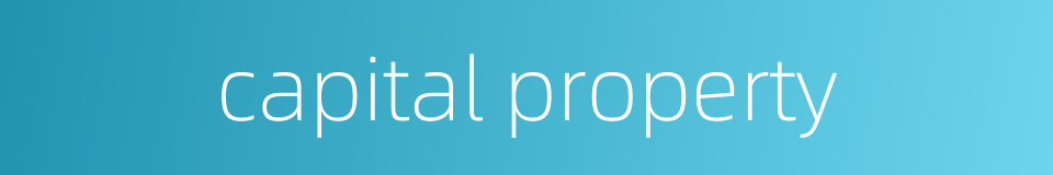 capital property的同义词