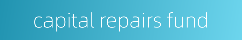 capital repairs fund的同义词