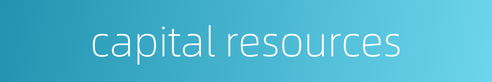 capital resources的同义词