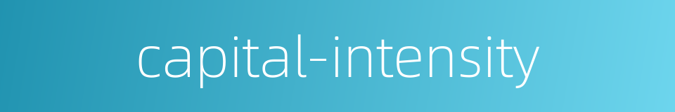 capital-intensity的同义词