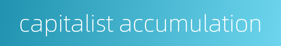 capitalist accumulation的同义词