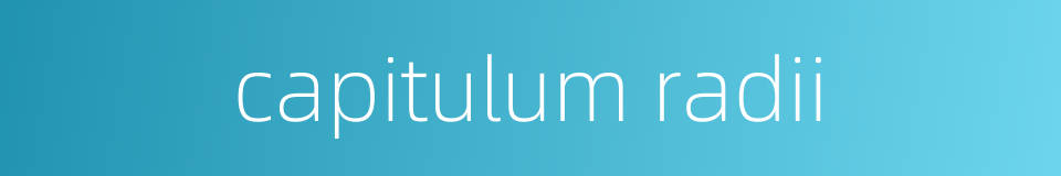 capitulum radii的同义词