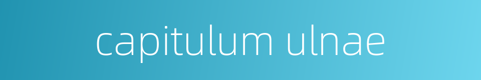 capitulum ulnae的同义词