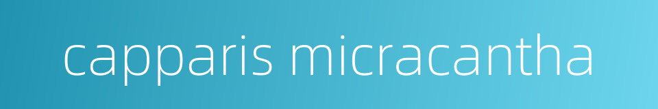capparis micracantha的同义词