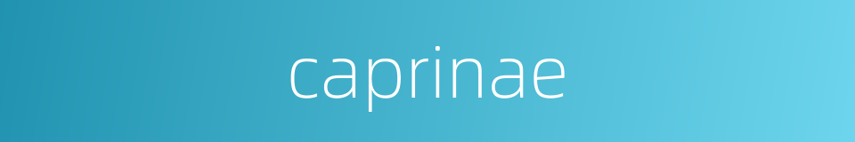 caprinae的同义词