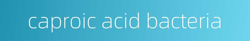 caproic acid bacteria的同义词