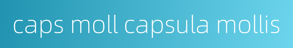 caps moll capsula mollis的同义词