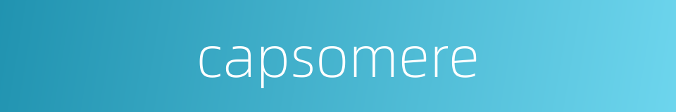 capsomere的同义词