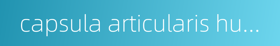 capsula articularis humeri的同义词