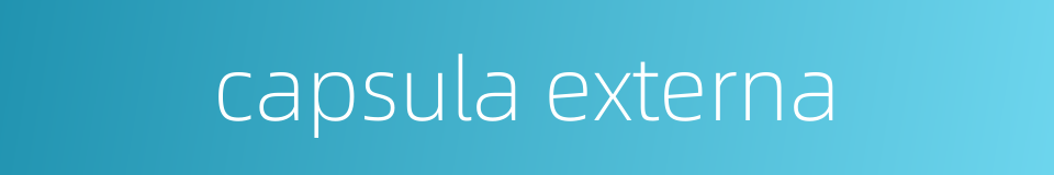 capsula externa的同义词