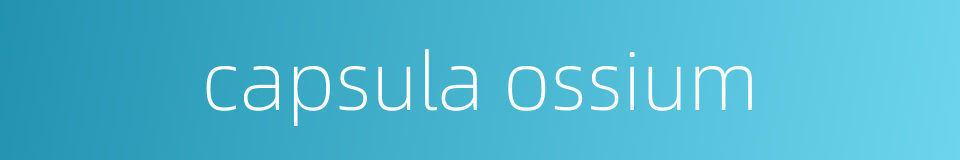 capsula ossium的同义词