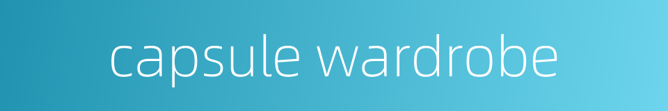 capsule wardrobe的同义词