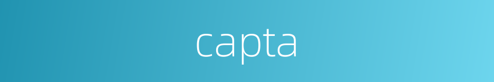 capta的同义词