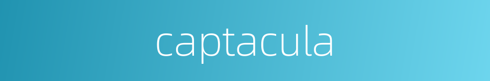 captacula的同义词