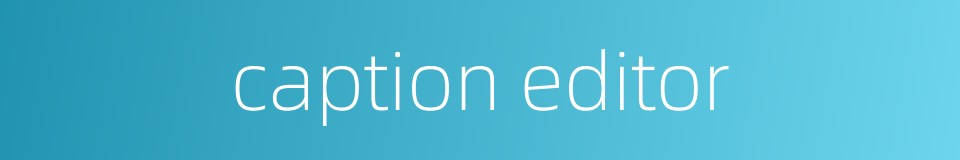 caption editor的同义词