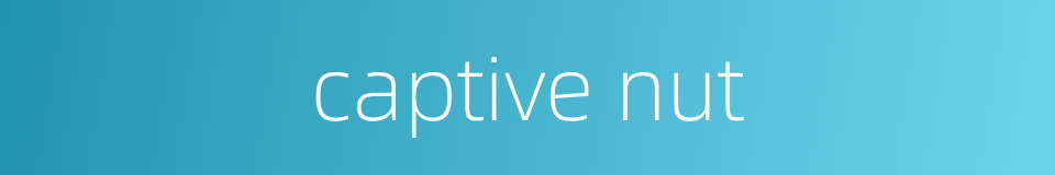 captive nut的同义词