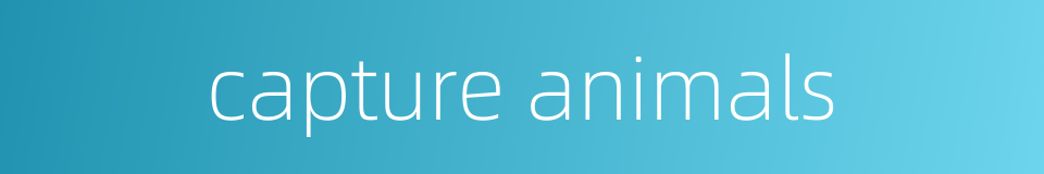 capture animals的同义词
