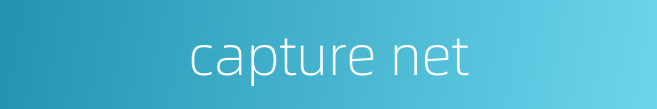capture net的同义词