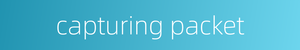 capturing packet的同义词