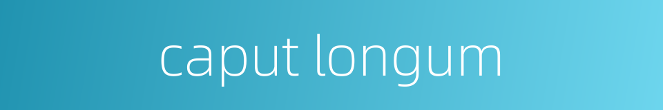 caput longum的同义词