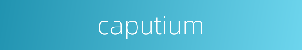caputium的同义词