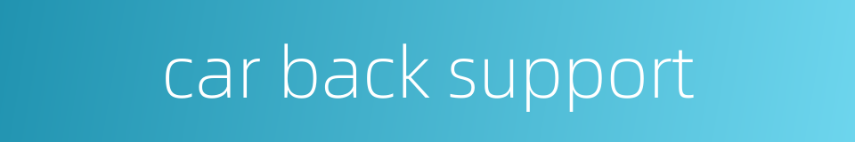 car back support的同义词