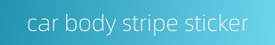 car body stripe sticker的同义词