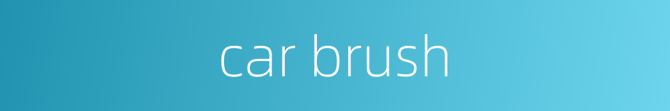 car brush的同义词