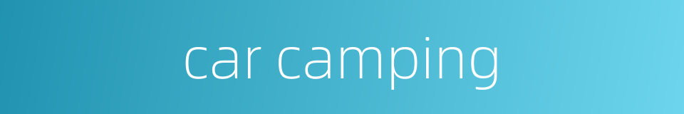 car camping的同义词