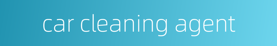 car cleaning agent的同义词