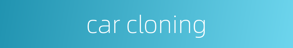 car cloning的同义词