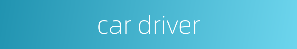 car driver的同义词