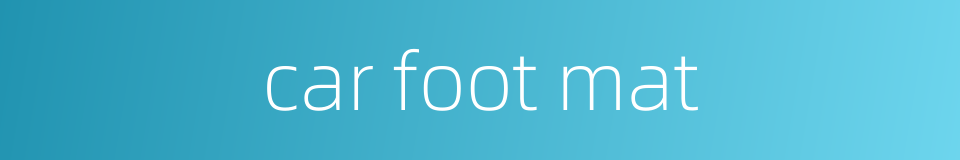 car foot mat的同义词