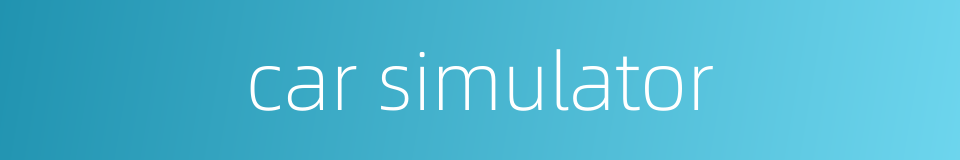 car simulator的同义词