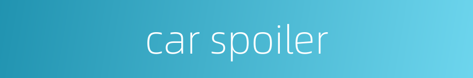 car spoiler的同义词