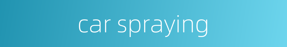 car spraying的同义词