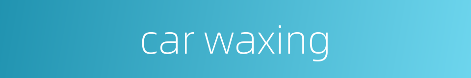 car waxing的同义词