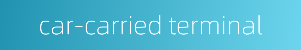 car-carried terminal的同义词