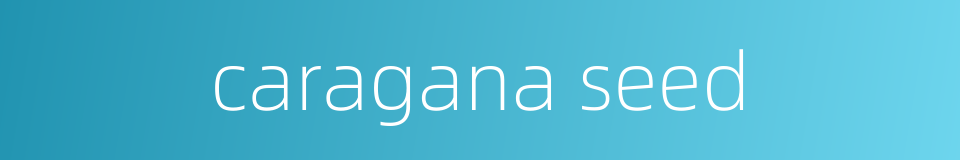 caragana seed的同义词