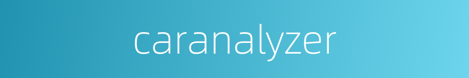 caranalyzer的同义词