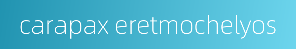 carapax eretmochelyos的同义词