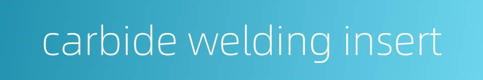 carbide welding insert的同义词