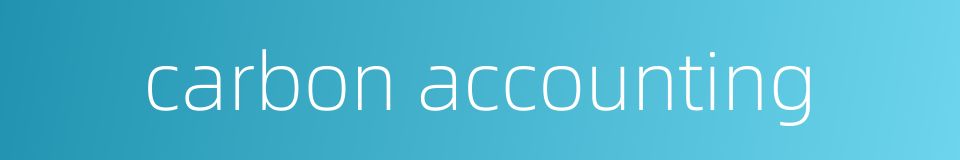 carbon accounting的同义词