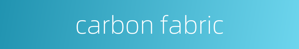 carbon fabric的同义词