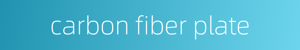 carbon fiber plate的同义词