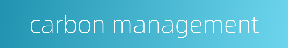 carbon management的同义词