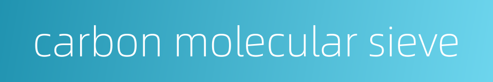 carbon molecular sieve的同义词