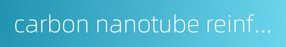 carbon nanotube reinforcement的同义词
