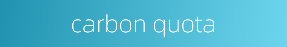 carbon quota的同义词