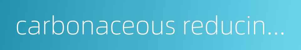 carbonaceous reducing agent的同义词